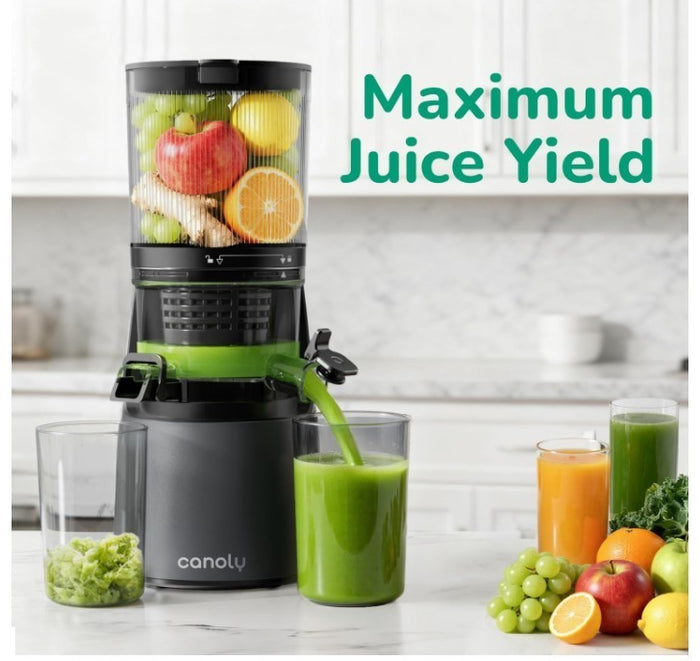 Canoly 150mm Cold Press Juicer with 3-in-1 Strainers, BPA Free – Space Gray-269