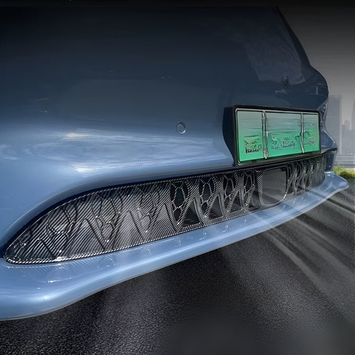Car Front Lower Bumper Anti Insect Metal Net for MG IM6