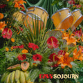 CAVS – Sojourn