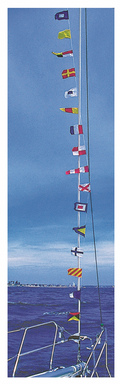Flags Set On 12Mtr String