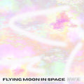 Flying Moon In Space - Zwei - Fuzz Club