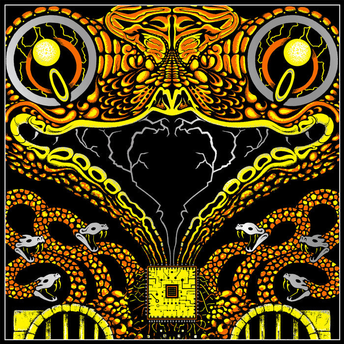King Gizzard And The Lizard Wizard - Live In San Diego '24 - Fuzz Club