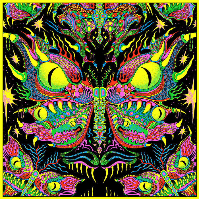 King Gizzard & The Lizard Wizard - Live In New Orleans '24