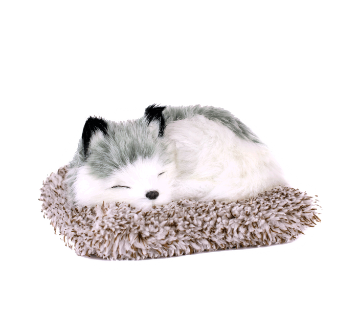 Mini Alaskan Husky Perfect Petzzz - image 2