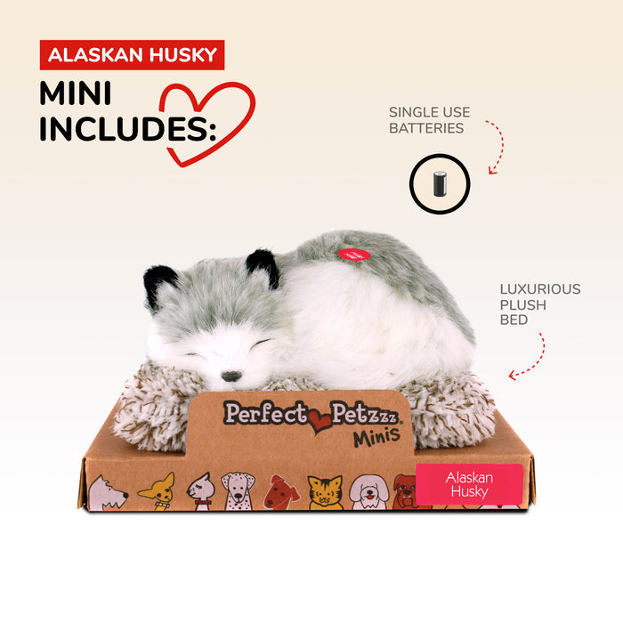 Mini Alaskan Husky Perfect Petzzz - image 3