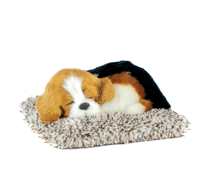 Mini Beagle Perfect Petzzz - image 2