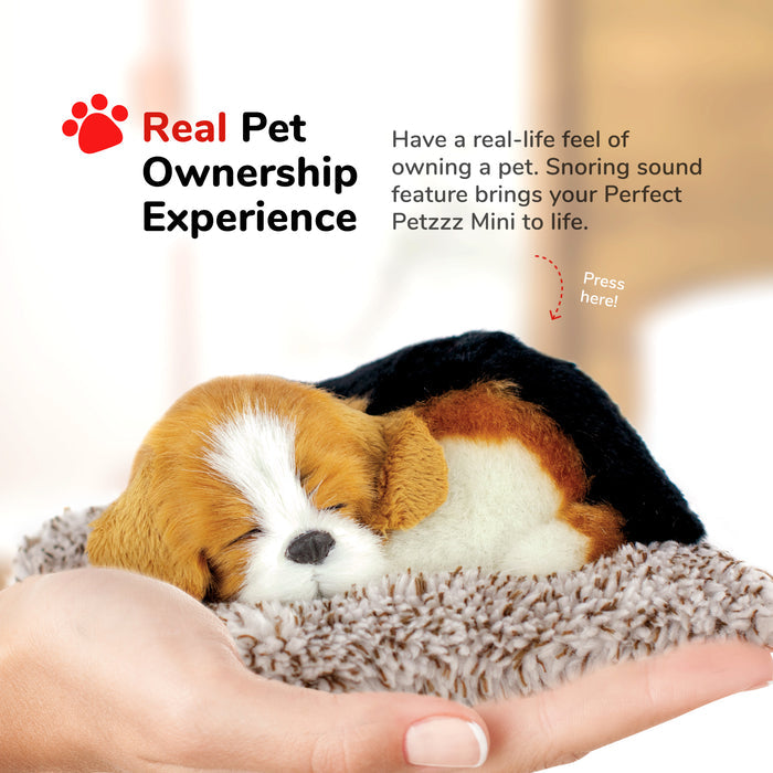 Mini Beagle Perfect Petzzz - image 6