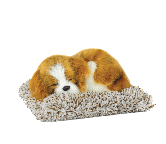 Mini Cavalier King Charles Perfect Petzzz - image 2