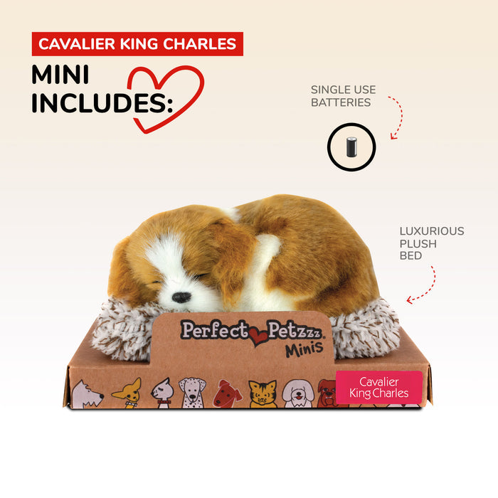 Mini Cavalier King Charles Perfect Petzzz - image 3