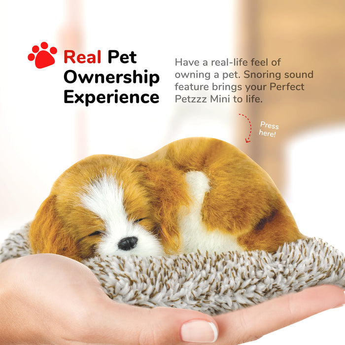 Mini Cavalier King Charles Perfect Petzzz - image 6