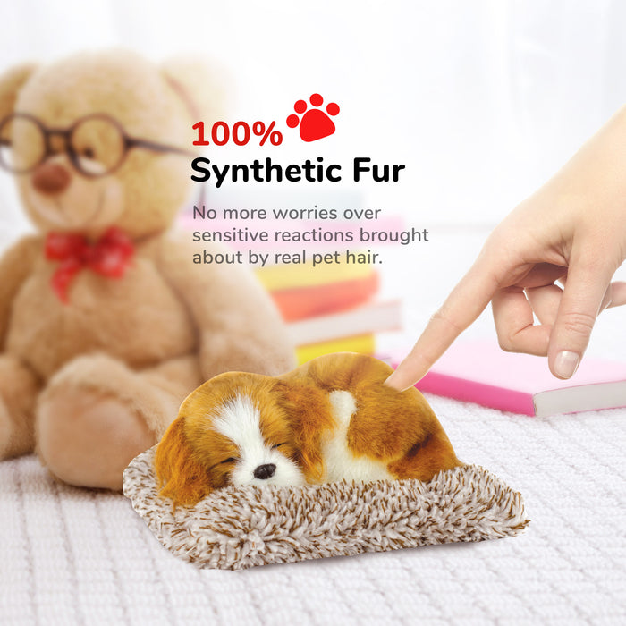 Mini Cavalier King Charles Perfect Petzzz - image 7