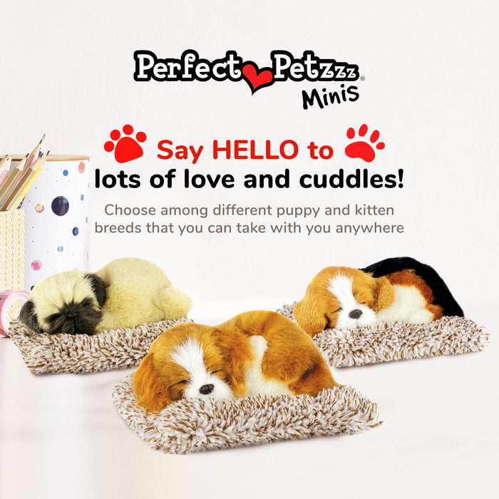 Mini Cavalier King Charles Perfect Petzzz - image 8