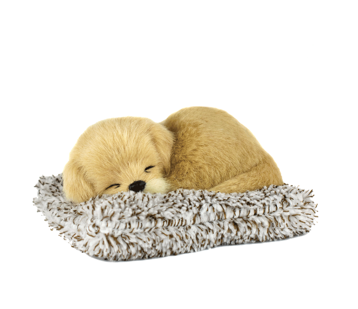 Mini Golden Retriever Perfect Petzzz - image 2