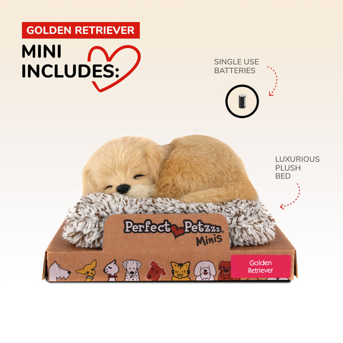 Mini Golden Retriever Perfect Petzzz - image 3