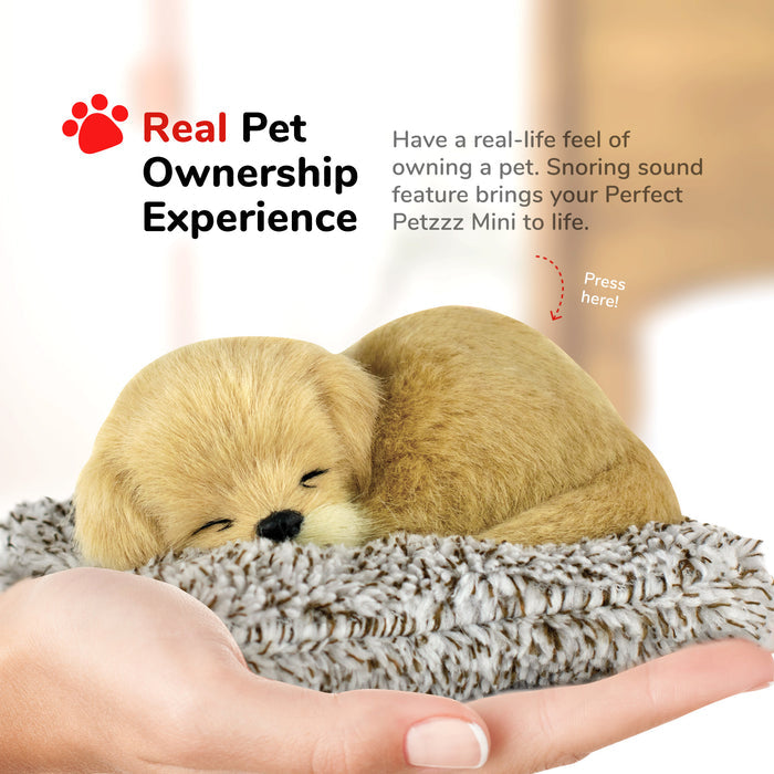 Mini Golden Retriever Perfect Petzzz - image 6