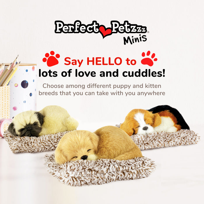Mini Golden Retriever Perfect Petzzz - image 8