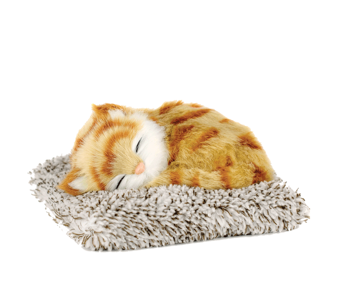 Mini Orange Tabby Kitten Perfect Petzzz - image 2