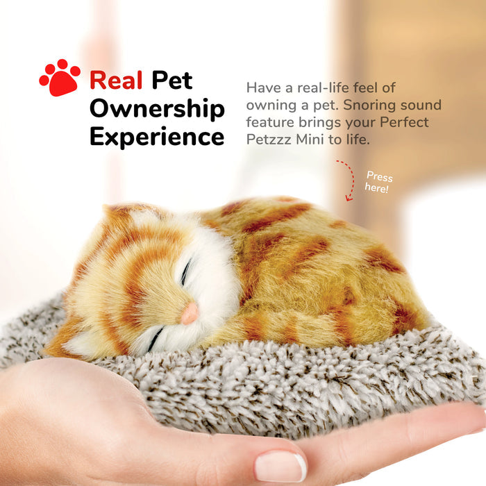 Mini Orange Tabby Kitten Perfect Petzzz - image 6