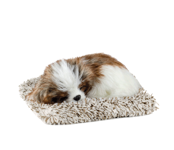 Mini Shih Tzu Perfect Petzzz - image 2