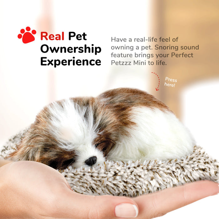 Mini Shih Tzu Perfect Petzzz - image 6