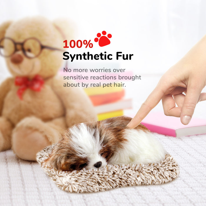 Mini Shih Tzu Perfect Petzzz - image 7