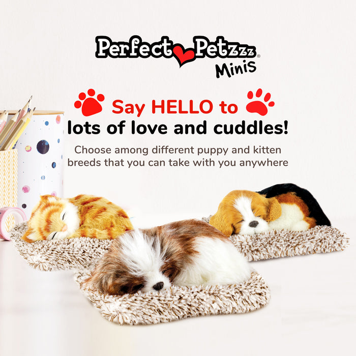 Mini Shih Tzu Perfect Petzzz - image 8