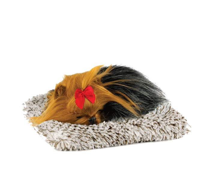 Mini Yorkie Perfect Petzzz - image 2
