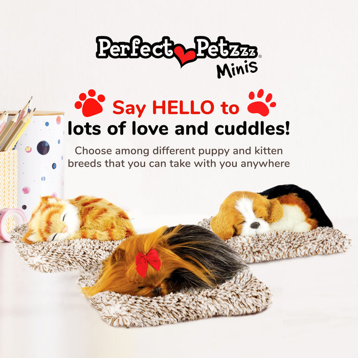 Mini Yorkie Perfect Petzzz - image 8