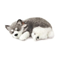 Original Alaskan Husky Perfect Petzzz