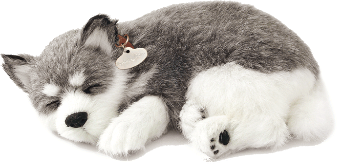 Original Alaskan Husky Perfect Petzzz - image 2