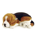 Original Beagle Perfect Petzzz