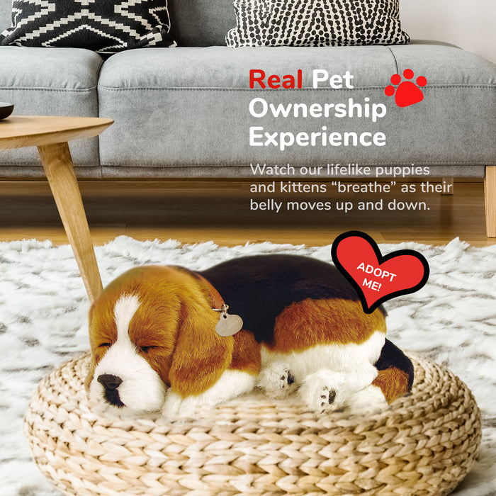 Original Beagle Perfect Petzzz - image 5