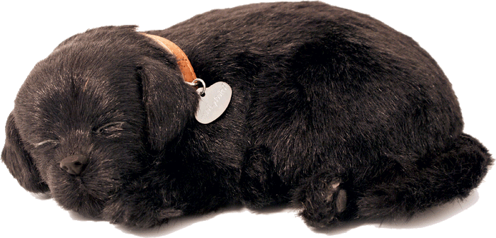 Original Black Lab Perfect Petzzz - image 2