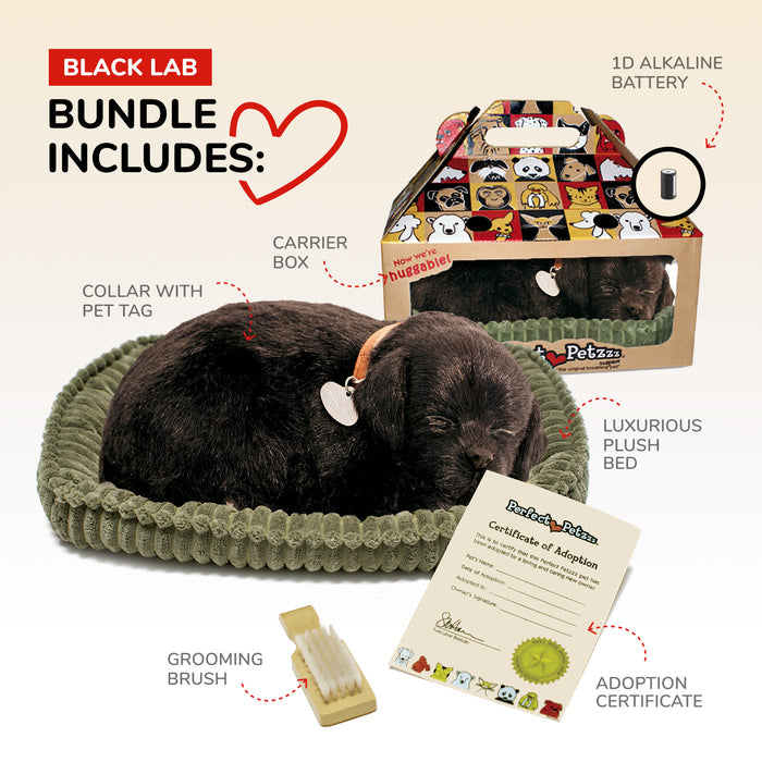 Original Black Lab Perfect Petzzz - image 3