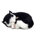Original Black & White Kitten Perfect Petzzz