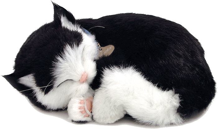 Original Black & White Kitten Perfect Petzzz - image 2