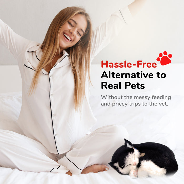 Original Black & White Kitten Perfect Petzzz - image 4