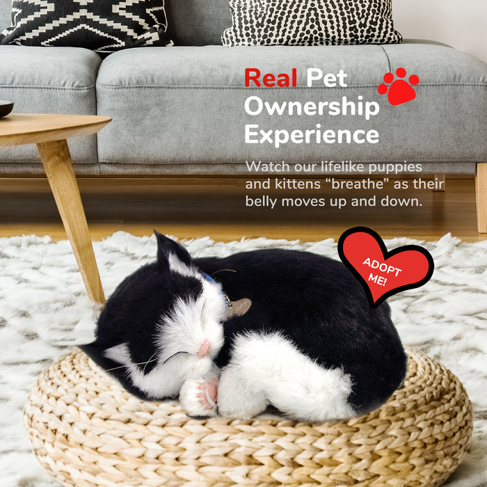 Original Black & White Kitten Perfect Petzzz - image 5