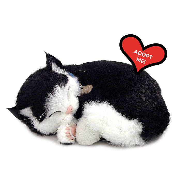 Original Black & White Kitten Perfect Petzzz - image 8