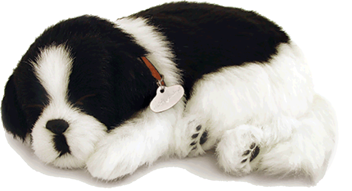 Original Border Collie Perfect Petzzz - image 2