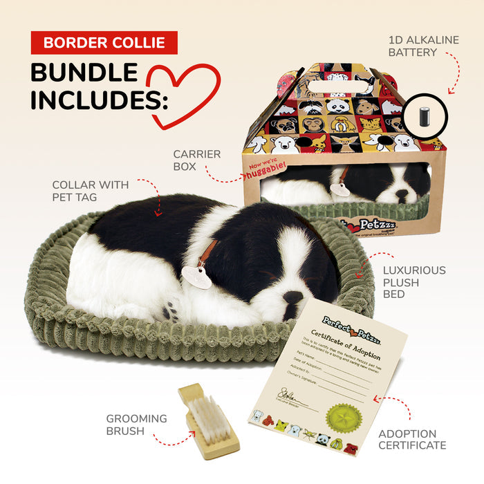 Original Border Collie Perfect Petzzz - image 3