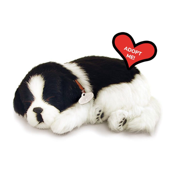 Original Border Collie Perfect Petzzz - image 8
