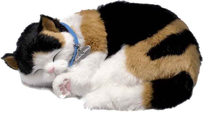 Original Calico Kitten Perfect Petzzz - image 2