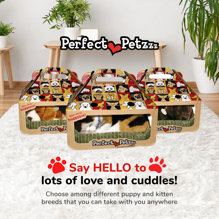 Original Calico Kitten Perfect Petzzz - image 7