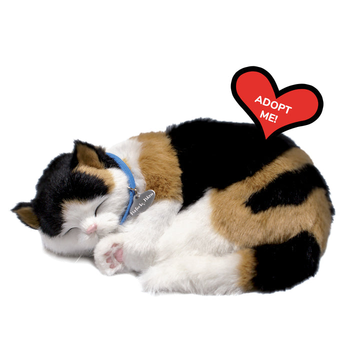 Original Calico Kitten Perfect Petzzz - image 8