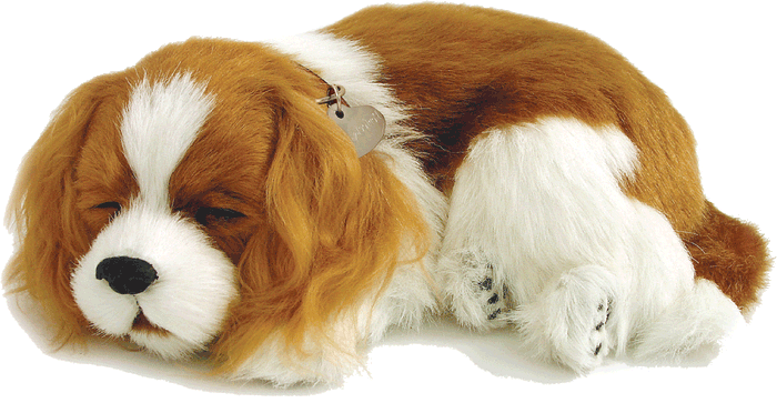 Original Cavalier King Charles Perfect Petzzz - image 2