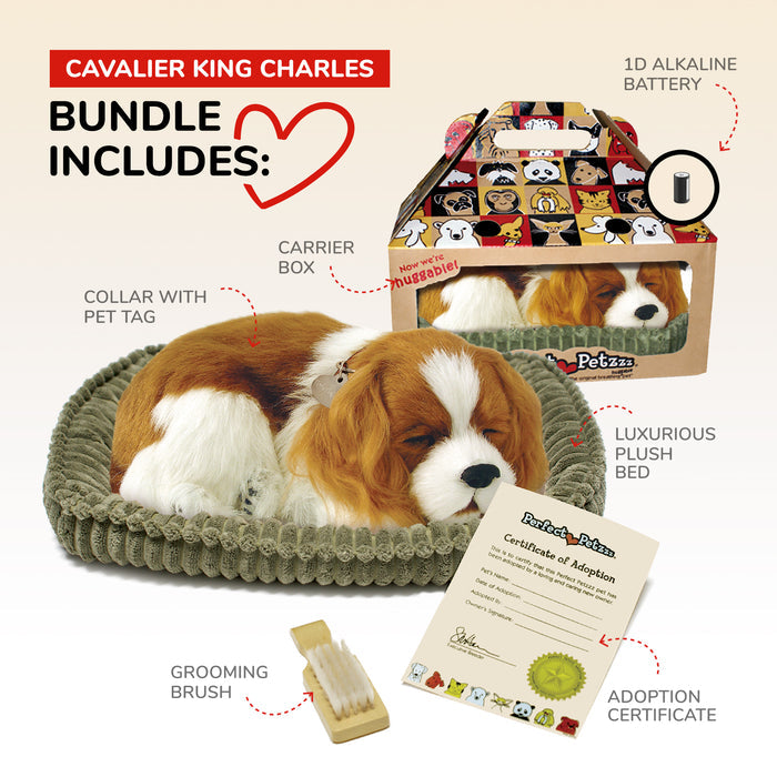 Original Cavalier King Charles Perfect Petzzz - image 3