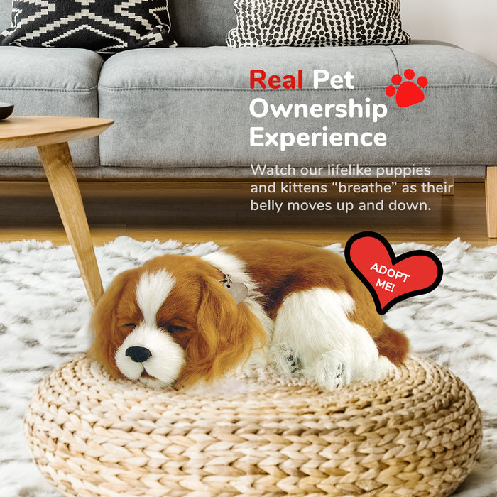 Original Cavalier King Charles Perfect Petzzz - image 5