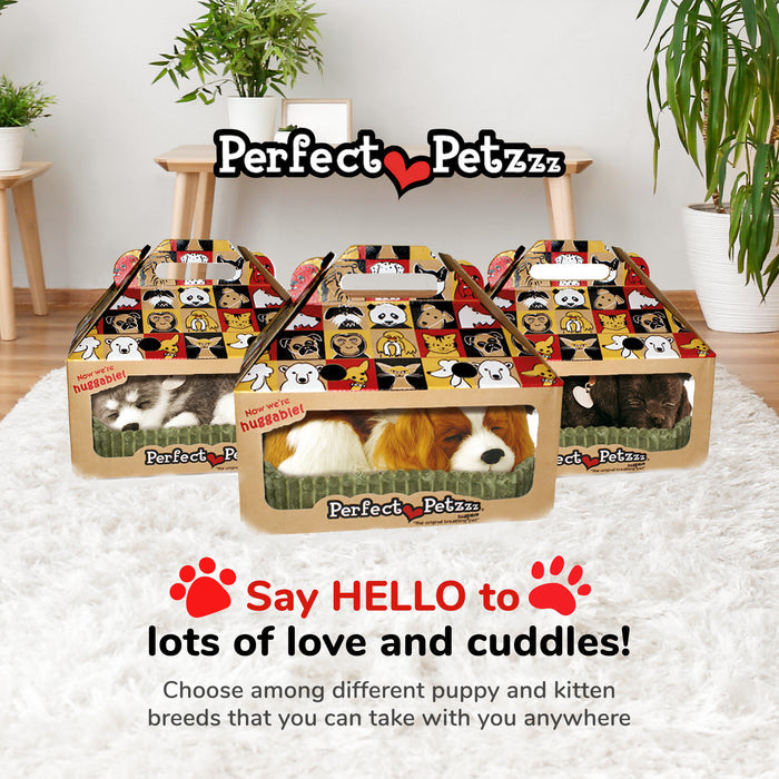Original Cavalier King Charles Perfect Petzzz - image 7