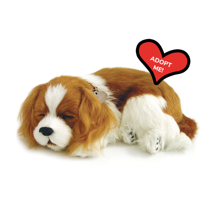 Original Cavalier King Charles Perfect Petzzz - image 8